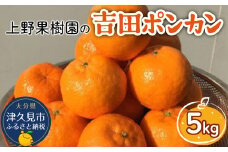 上野果樹園の吉田ポンカン 5kg ぽんかん オレンジ みかん 蜜柑 果物 くだもの フルーツ 柑橘類 甘い ジューシー お取り寄せ 大分県産 九州産 津久見市 国産