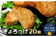 魚のすり身コロッケ（ぎょろっけ）×20個 コロッケ お惣菜 冷凍食品 練り物 揚げ物 揚げかまぼこ 魚肉 弁当おかず 大分県産 九州産 津久見市 国産