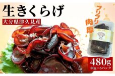 津久見産の肉厚生きくらげ　80g×6パック（480g） |　津久見市　小分　木耳　キクラゲ　国産　くらげ　生キクラゲ　生木耳　日本産　小分け　キクラゲ  きくらげ　国産　きのこ　国産