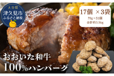 おおいた和牛100%ハンバーグ　約70g×51個　合計約3.5kg　|　津久見市　惣菜 ハンバーグ 温めるだけ 冷凍 小分け 肉 牛 簡単調理