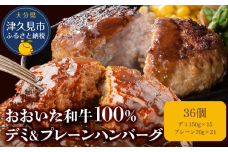 おおいた和牛100%　デミ＆プレーンハンバーグ　36個　合計約3.7kg　|　津久見市　惣菜 ハンバーグ 温めるだけ 冷凍 小分け 肉 牛 簡単調理