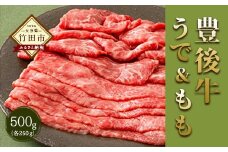 大分県竹田市産 おおいた和牛 うで・もも すき焼き用 【500g】