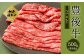 大分県竹田市産 おおいた和牛 うで・もも すき焼き用 【500g】