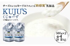 KUJU'S くじゅーず 家庭用パックタイプ 500g×2パック チーズ プレーン 無糖 乳製品 低脂肪 高カルシウム スキール