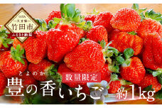 数量限定 いちご 豊の香 大粒 約1kg 【2024年12月下旬-2025年1月下旬発送】