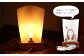 花あかり「姫だるま」 ランプシェード 伝統工芸品