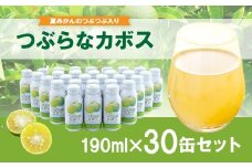 つぶらなカボス 30缶 ★大分県産カボス使用の大ヒットジュース★