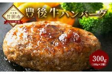大分県竹田産 豊後牛の ハンバーグ 【100g×3個】