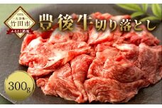 大分県竹田産 おおいた和牛 切り落とし 【300g】