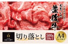 正統派黒毛和牛 おおいた豊後牛 切り落とし 500g 小分け