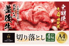 【定期便】おおいた豊後牛 切り落とし 1000g×4ヶ月 計4kg