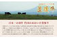 【定期便】おおいた豊後牛 切り落とし 1000g×4ヶ月 計4kg