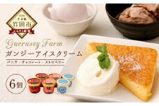 ガンジーアイス 6個セット（バニラ、チョコ、ストロベリー）