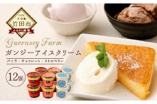 ガンジーアイス 12個セット（バニラ、チョコ、ストロベリー）