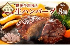 豊後牛 100% 粗挽き 生ハンバーグ 160g×8個