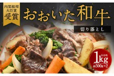 おおいた和牛 切り落とし 約500g×2P 計1kg ウデ モモ バラ