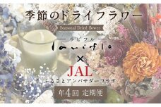 【年4回定期便】季節のドライフラワー【JALふるさとアンバサダーコラボ商品】