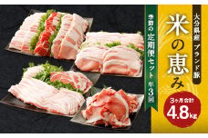 【3回定期便】大分県産ブランド豚「米の恵み」季節の定期便セット 計4.8kg（1～2月・5～6月・9～10月）定期便 豚肉
