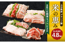 【3回定期便】大分県産ブランド豚「米の恵み」季節の定期便セット 計4.8kg（1～2月・5～6月・9～10月）定期便 豚肉