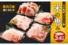 大分県産ブランド豚「米の恵み」豚肉5種 盛り合わせ 計3.4kg 豚肉