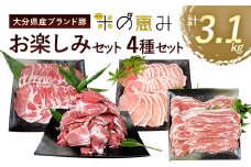 大分県産 ブランド豚 「米の恵み」お楽しみセット 計3.1kg 豚肉 小分け