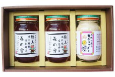 竹田市産 100%！ 菊芋パウダー 150g×1本 ＋ はちみつ 300g×2本 セット 化粧箱