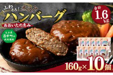 おおいたの恵み ハンバーグ 1.6kg（160g×10個） 個包装 牛肉 豚肉 惣菜
