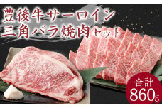豊後牛 サーロイン・三角バラ 焼肉 セット 860g 牛肉 大分県