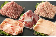 大分県産ブランド豚「米の恵み」・鶏肉 5種食べ比べセット 2.5kg 豚肉 こま切れ 鶏もも肉 ミンチ 手羽