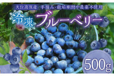【お試しサイズ】久住高原 冷凍 ブルーベリー 500g 栽培期間中農薬不使用 手摘み 果物 フルーツ 【2025年7月下旬より順次発送開始予定】
