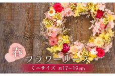 【ドライフラワー】春のフラワーリース ミニサイズ 約17～19cm