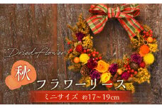 【ドライフラワー】秋のフラワーリース ミニサイズ 約17～19cm