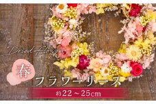 【ドライフラワー】春のフラワーリース 直径：約22～25cm