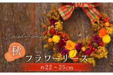 【ドライフラワー】秋のフラワーリース 直径：約22～25cm