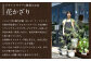 【ドライフラワー】冬のフラワーリース 直径：約22～25cm