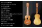 【手作り】ウクレレ UK-3KW ソプラノ/山桑(ヤマグワ) 楽器 ハードケース付属