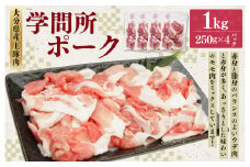 大分県産上豚肉 「学問所ポーク」 ウデ・モモ 切り落とし 1kg 真空パック 小分け