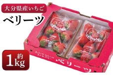 化粧箱入り ベリーツ 約1kg【2026年2月下旬-3月下旬発送】