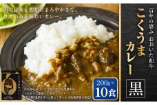 百年の恵み おおいた和牛こくうまカレー(黒) 10個セット