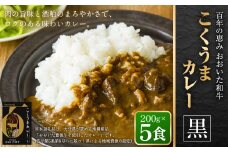 百年の恵み おおいた和牛こくうまカレー(黒) 5個セット