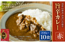百年の恵み おおいた和牛旨辛カレー(赤) 10個セット