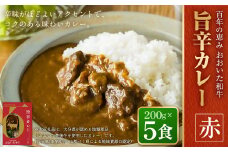 百年の恵み おおいた和牛旨辛カレー(赤) 5個セット