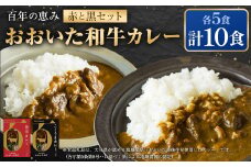 百年の恵み おおいた和牛カレー 赤と黒セット 各5個 計10個