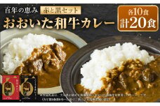 百年の恵み おおいた和牛カレー 赤と黒セット 各10個 計20個