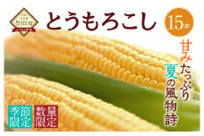 【2025年7月上旬発送開始】 竹田市産  とうもろこし  15本 スイートコーン 野菜