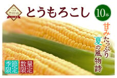 【2025年7月上旬発送開始】竹田市産  とうもろこし  10本 スイートコーン 野菜