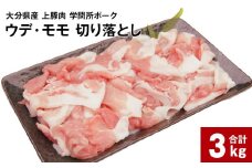 大分県産上豚肉 「学問所ポーク」 ウデ・モモ 切り落とし 計3kg（250g×12パック）