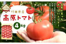 【竹田市産】高原トマト 4kg (約16～28個) 【ベジスタとまとちゃん】【2025年5月下旬-2026年1月上旬発送予定】