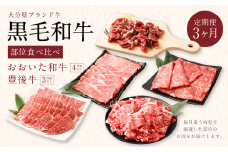 【3ヶ月定期便】 黒毛和牛 おおいた和牛＆豊後牛
