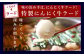 【2ヶ月毎3回定期便】もつ鍋 セット 塩とんこつ 2～3人前 【陽はまたのぼる】